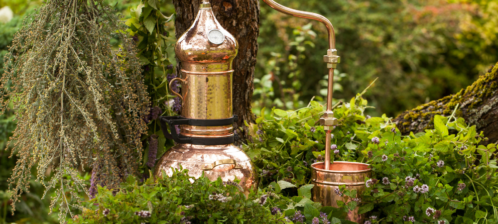 Fawn Lily Botanica | Hydrosol distillation in forest, copper still