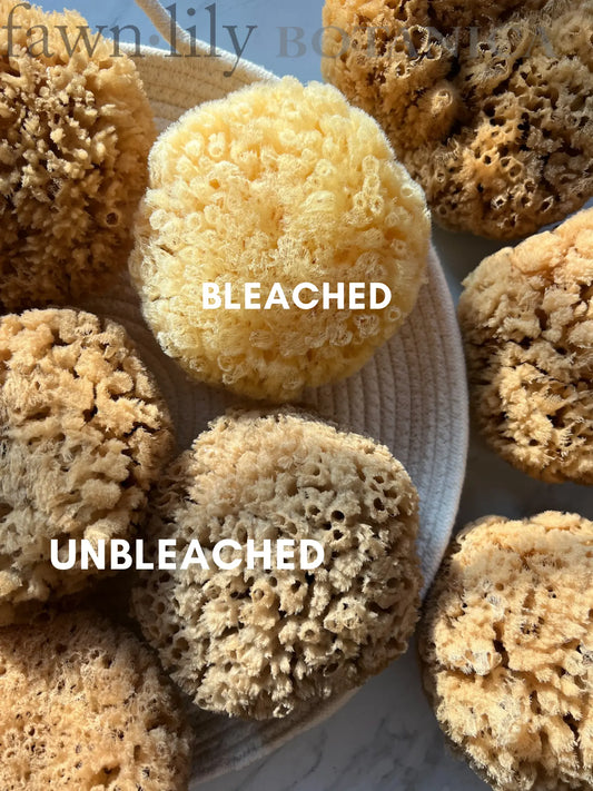 Fawn Lily Botanica | Unbleached sponges 'bleached' and 'unbleached' comparison
