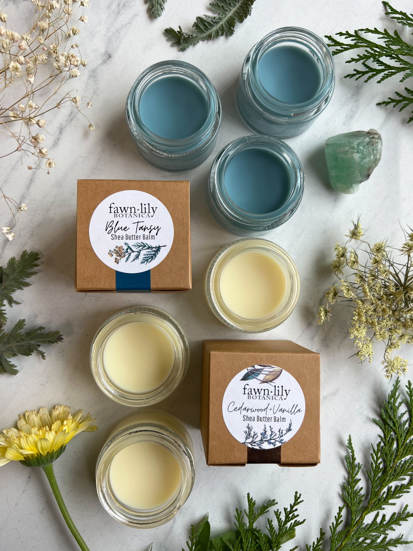 Blue Tansy Shea Butter Balm | Fawn Lily Botanica - nourishing vegan facial balm
