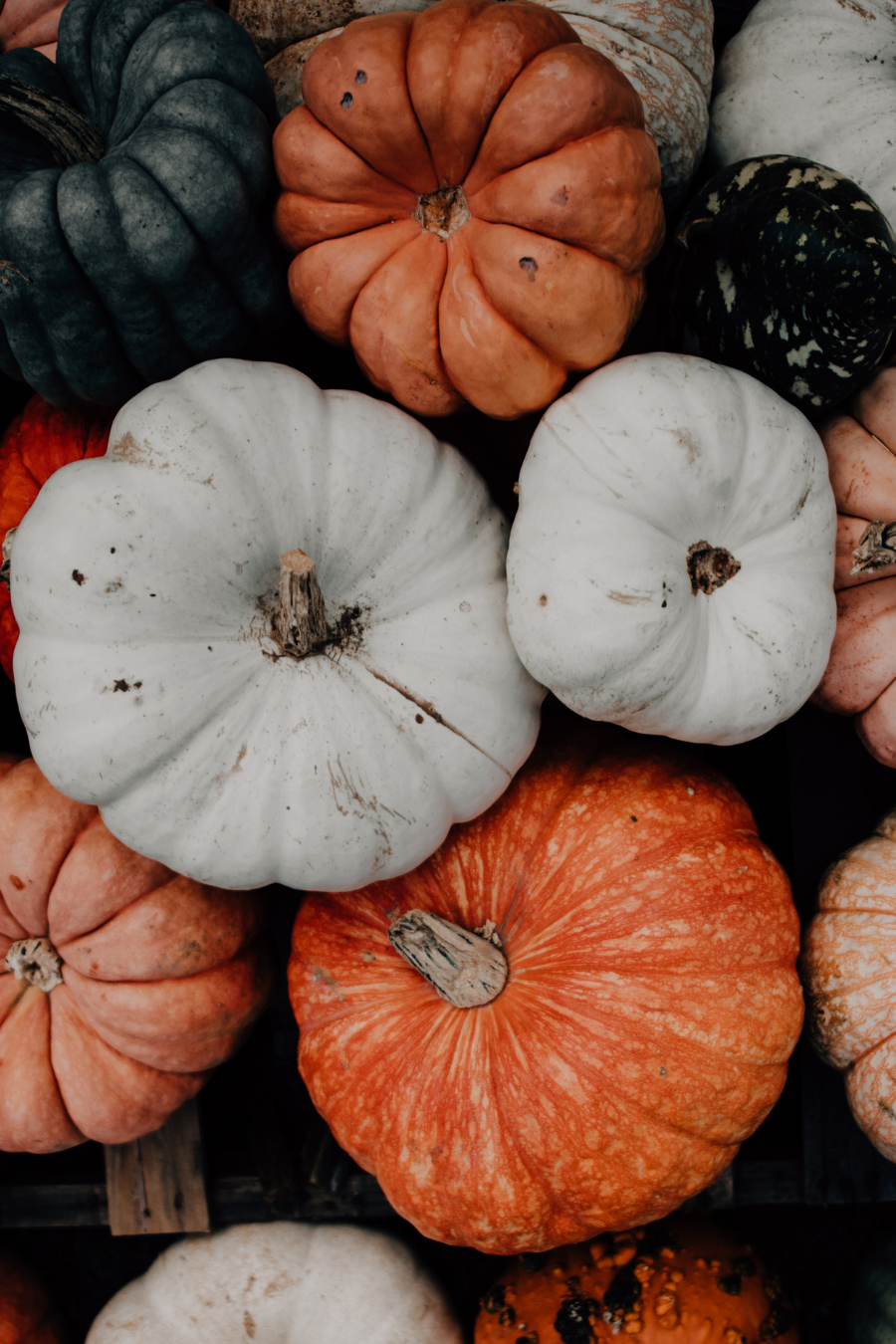 SEASONAL FACIAL SERUM - LIMITED EDITION