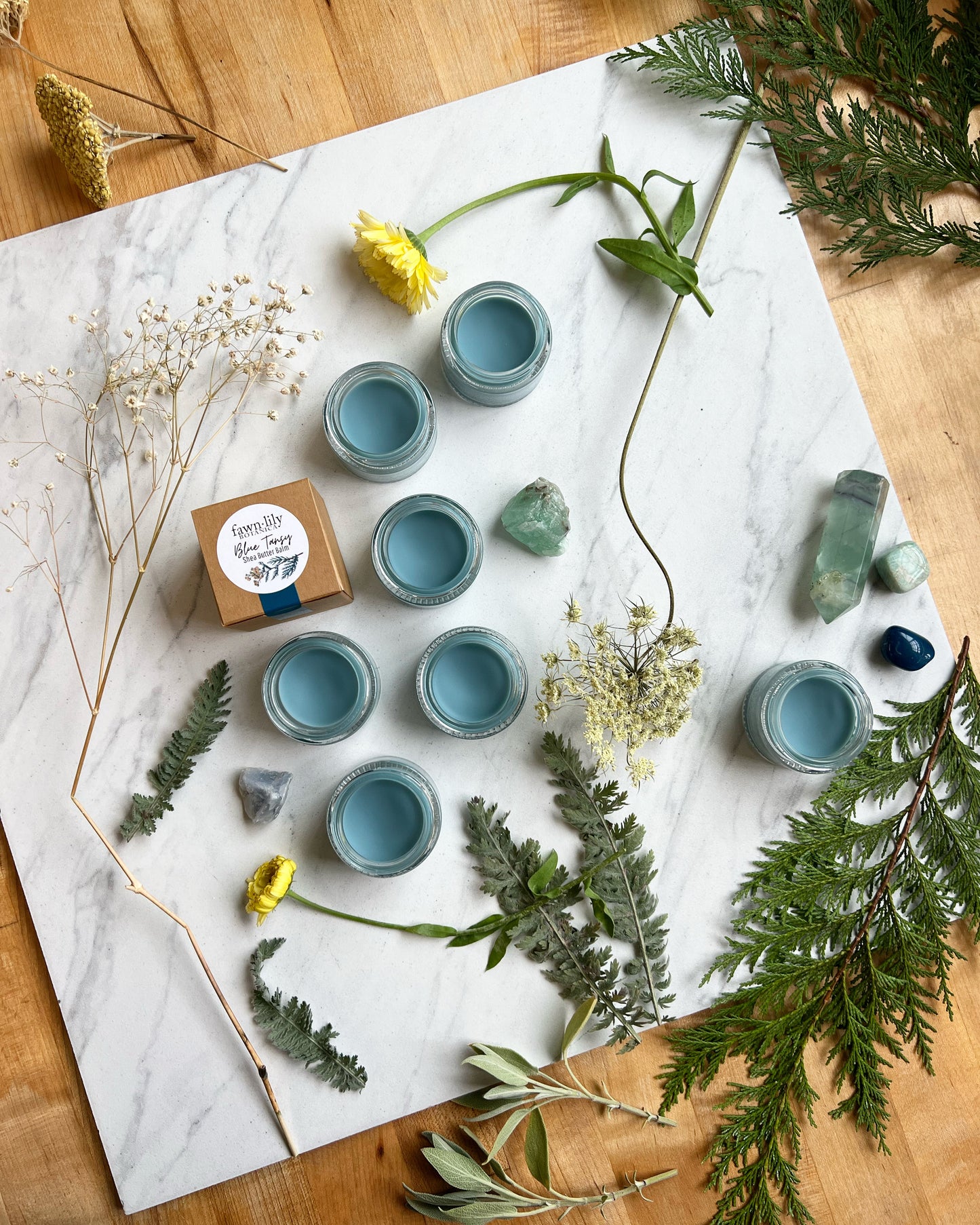 Blue Tansy Shea Butter Balm | Fawn Lily Botanica - nourishing vegan facial balm