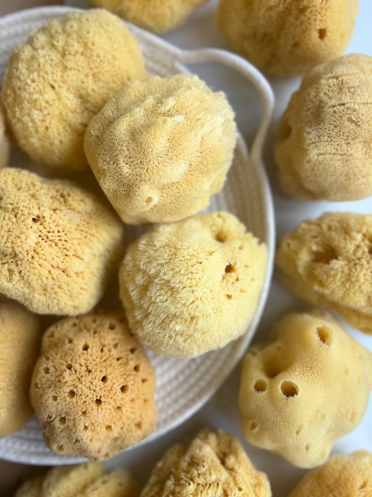 Fawn Lily Botanica | Bath Silk Sea Sponge, gentle bathing for kids and babies