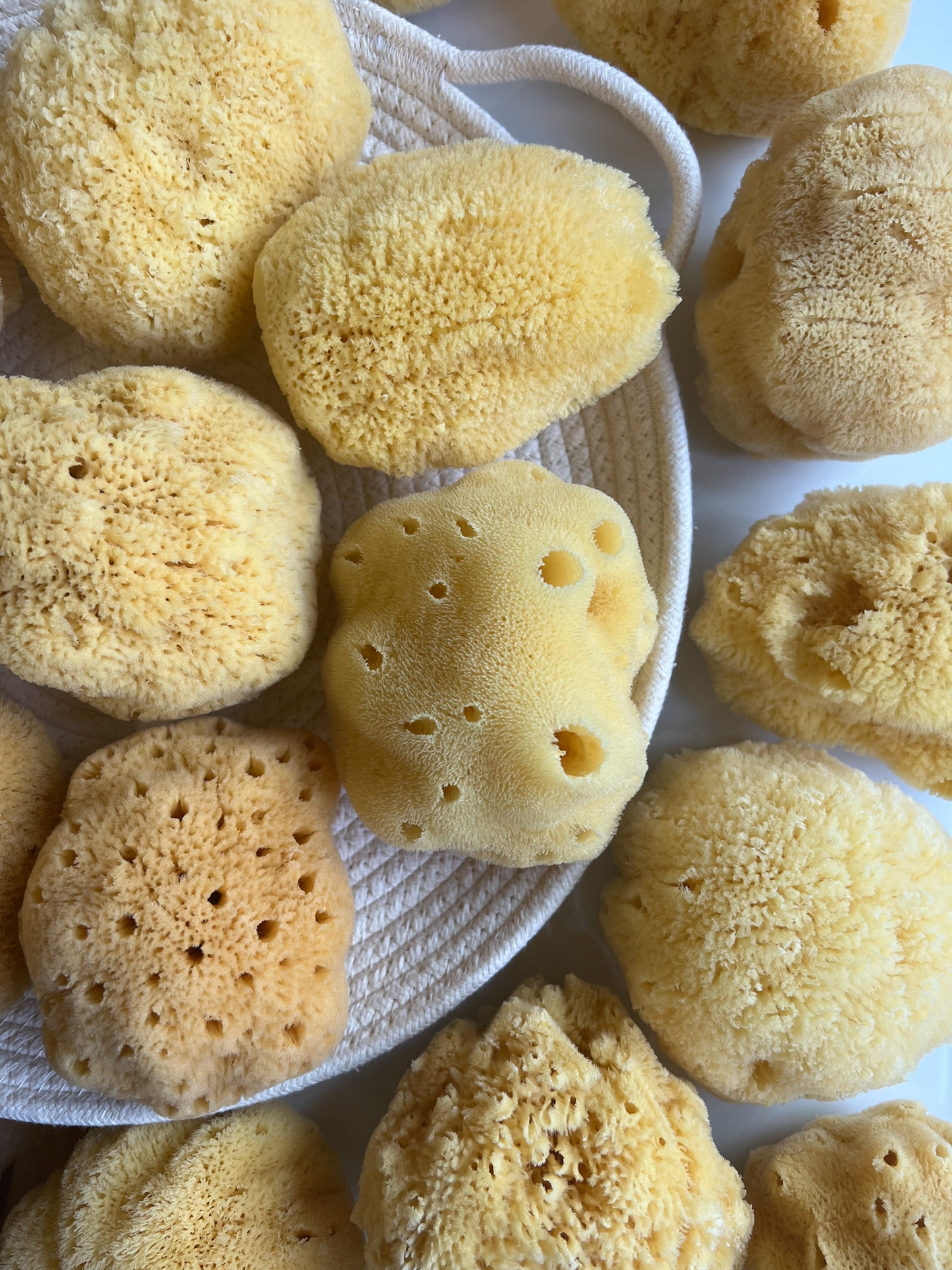 Fawn Lily Botanica | Natural Bath Silk Sea Sponge, soft silk sponge for sensitive skin, children, babies, non-toxic