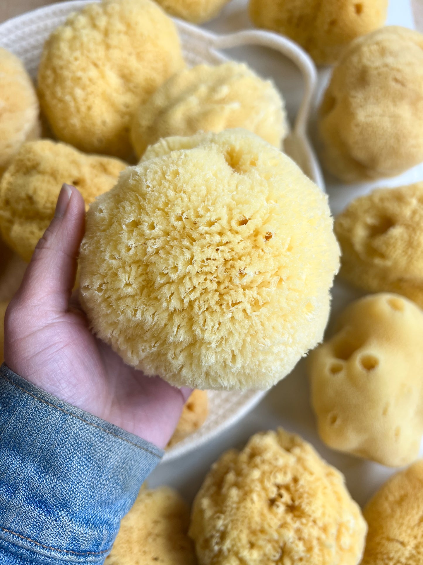 Fawn Lily Botanica | Softest Silk Bath Sea Sponge for children and babies, premium quality, whole sponge
