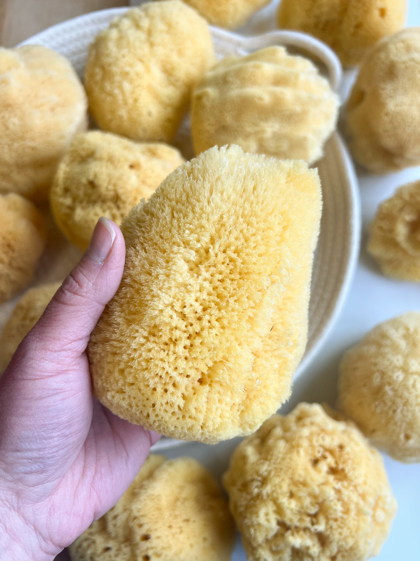 Fawn Lily Botanica | Silk Sea Sponge, natural bathing, best quality sea sponge, baby sponge