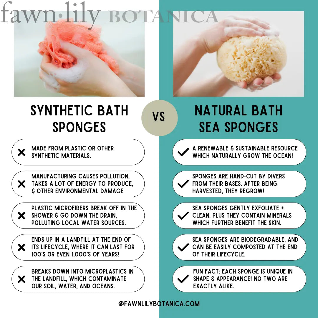 Fawn Lily Botanica | natural sea sponge vs synthetic plastic sponges - comparison chart infographic pros cons which is better