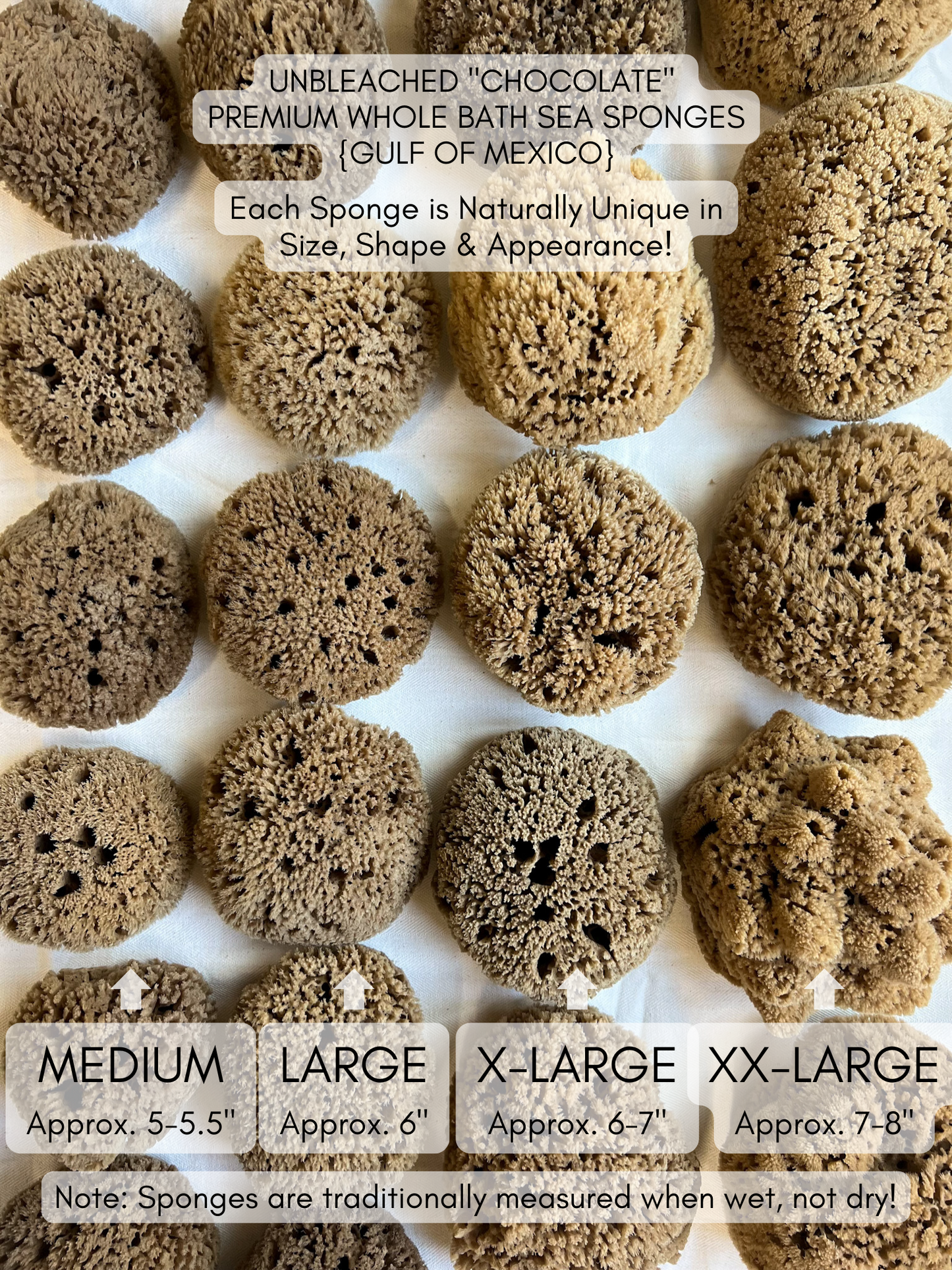 Fawn Lily Botanica | Unbleached Premium Whole Bath Sea Sponges, four sizes, sustainable bathing, plastic-free