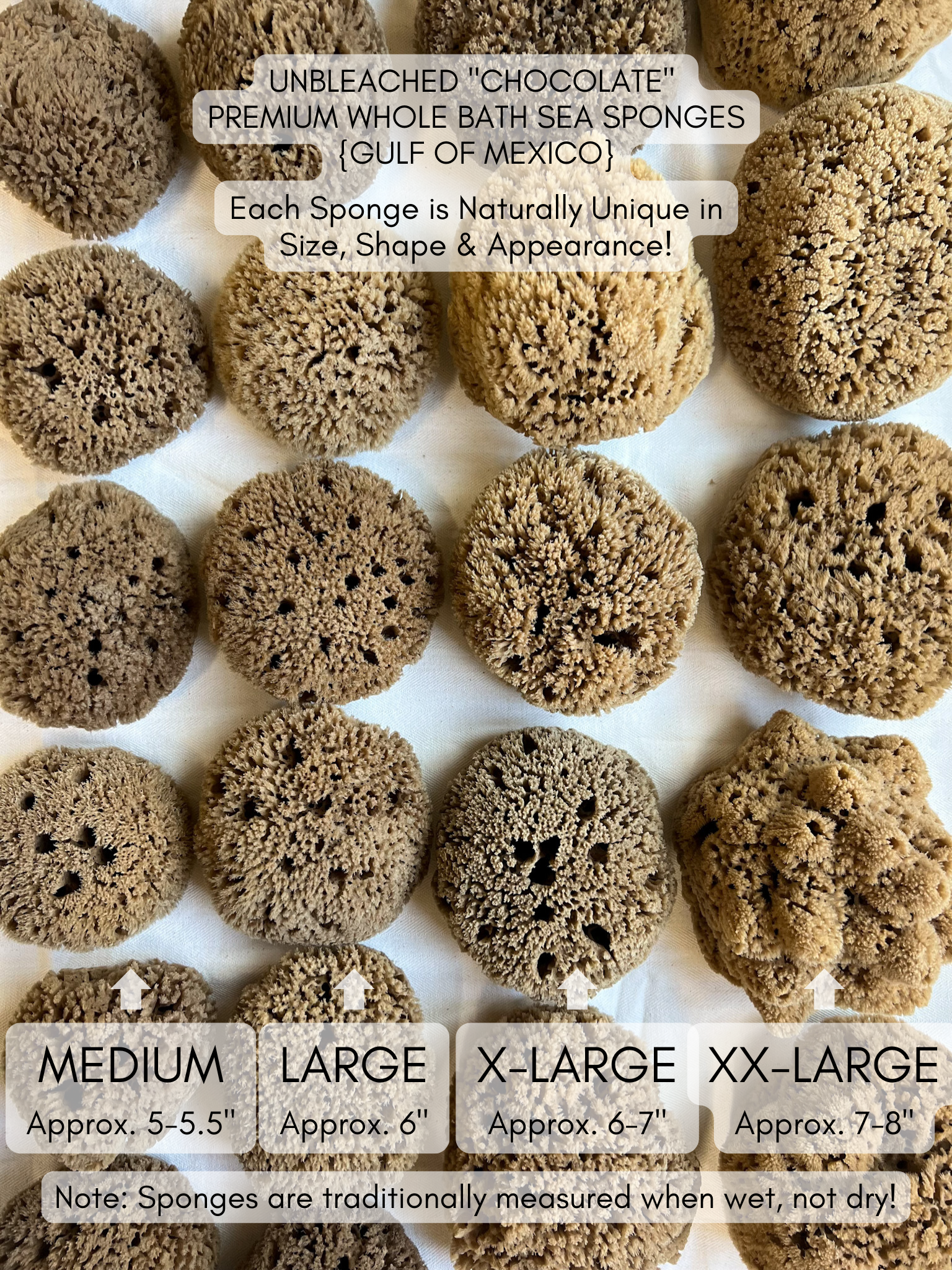 Fawn Lily Botanica | Unbleached Premium Whole Bath Sea Sponges, four sizes, sustainable bathing, plastic-free