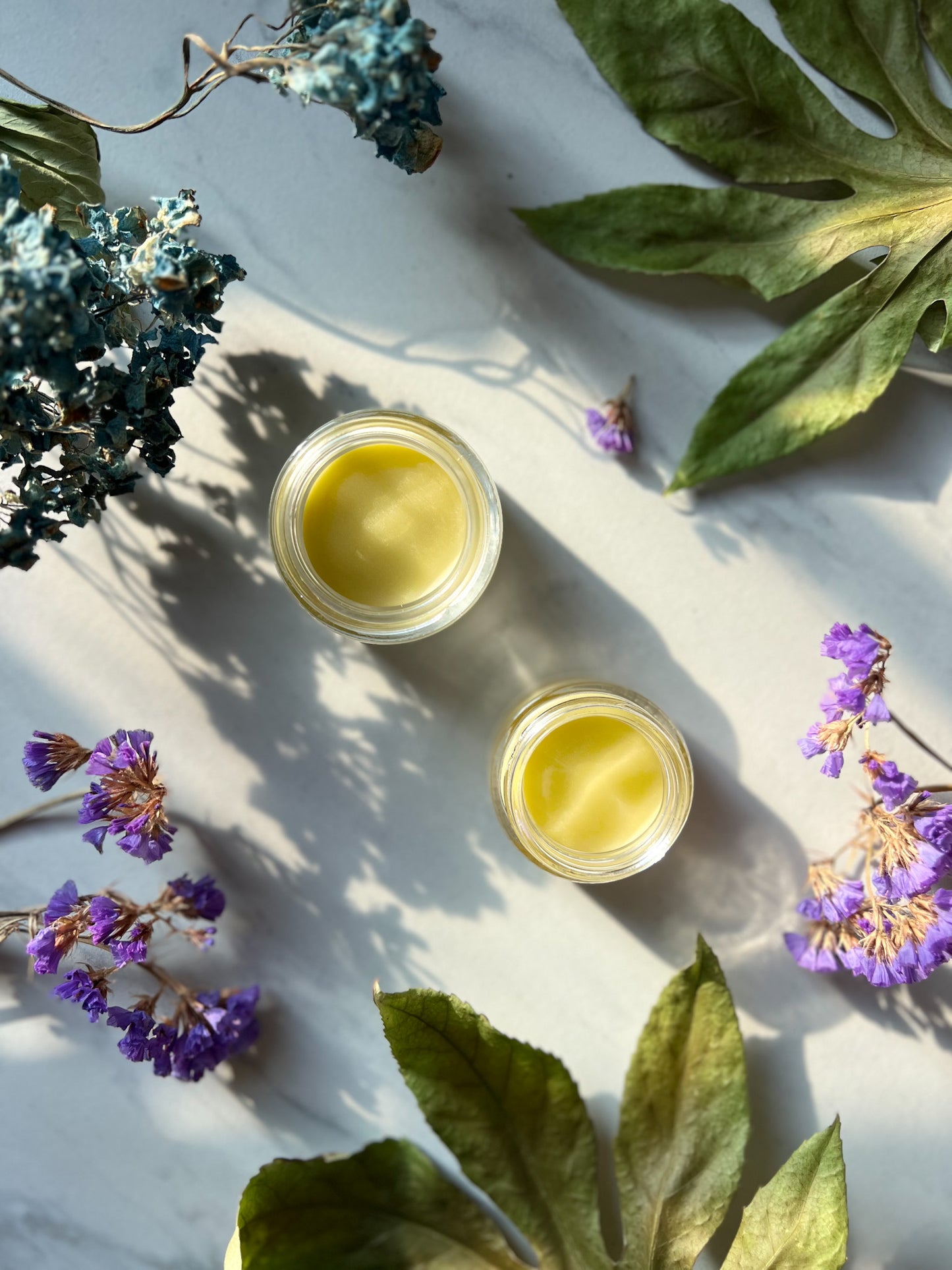 Fawn Lily Botanica | Bakuchiol Facial Balm, natural retinol alternative