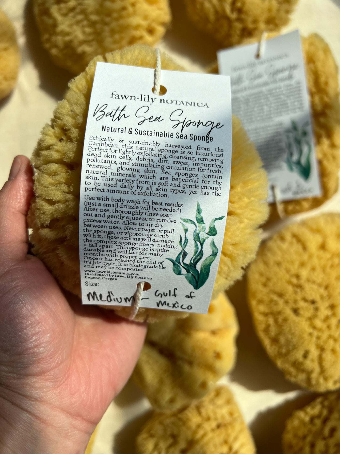 Fawn Lily Botanica | High quality sea sponges for bathing from the Gulf of Mexico, eco-friendly and sustainable. Medium size