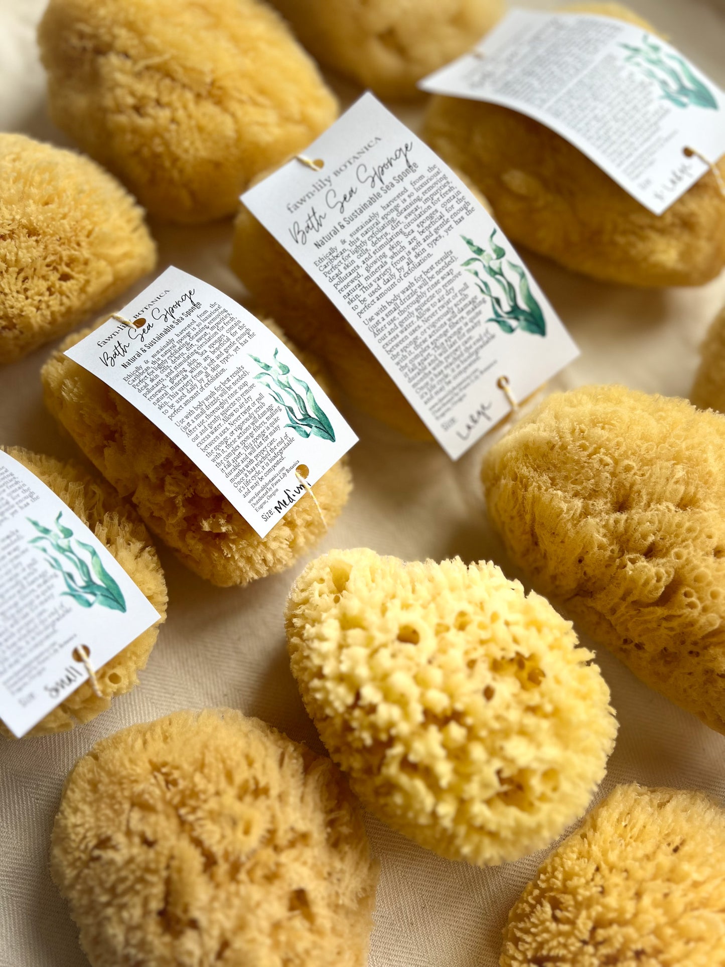 Fawn Lily Botanica | sustainable sea sponges for bath and body