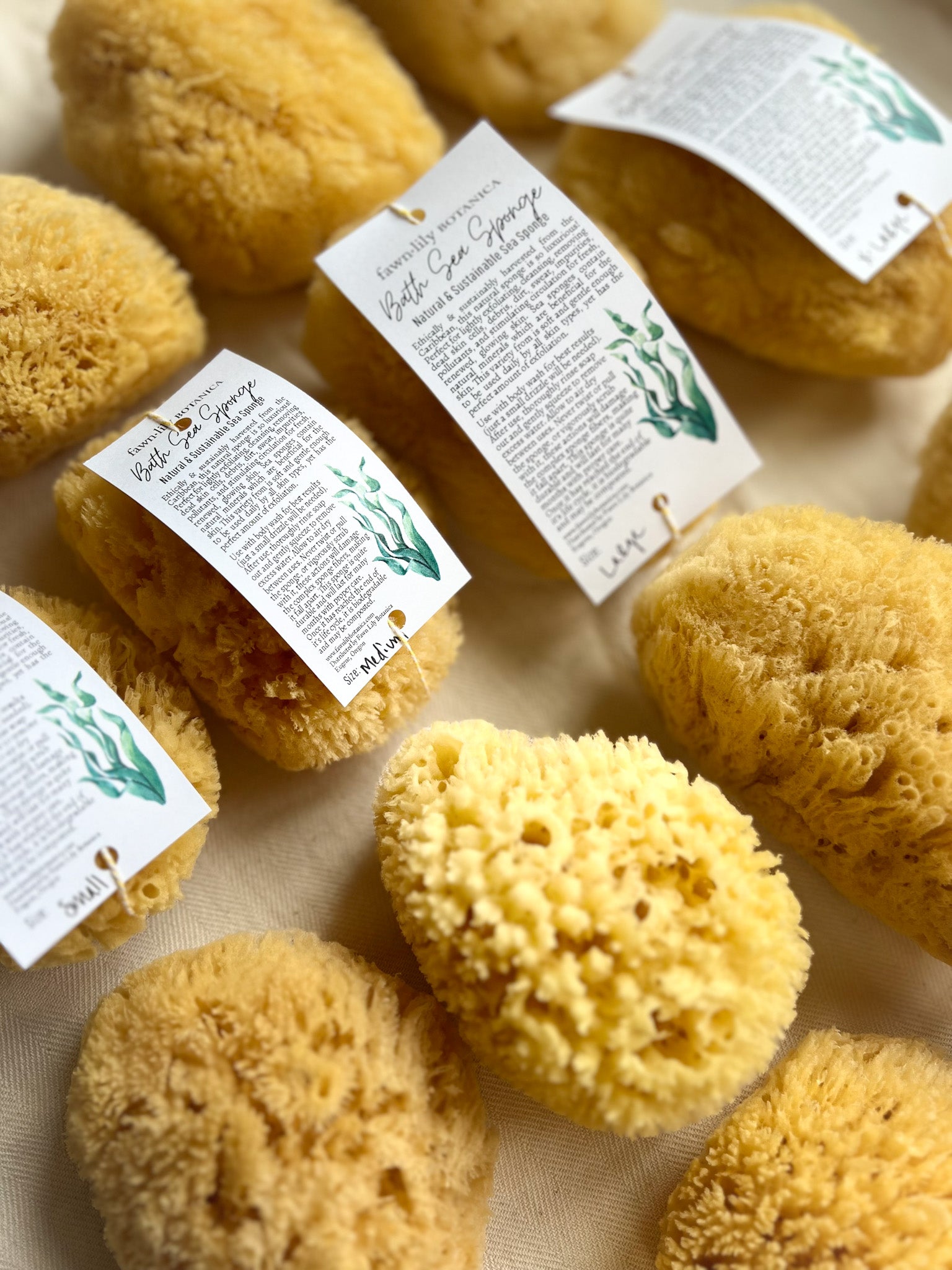 Fawn Lily Botanica | sustainable sea sponges for bath and body