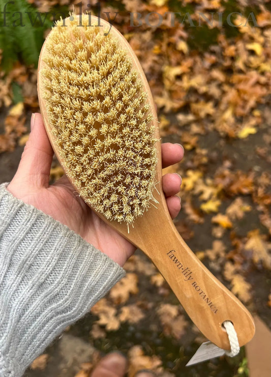 Natural sisal body dry brush with an ergonomic lotus-wood handle, plastic-free, by Fawn Lily Botanica