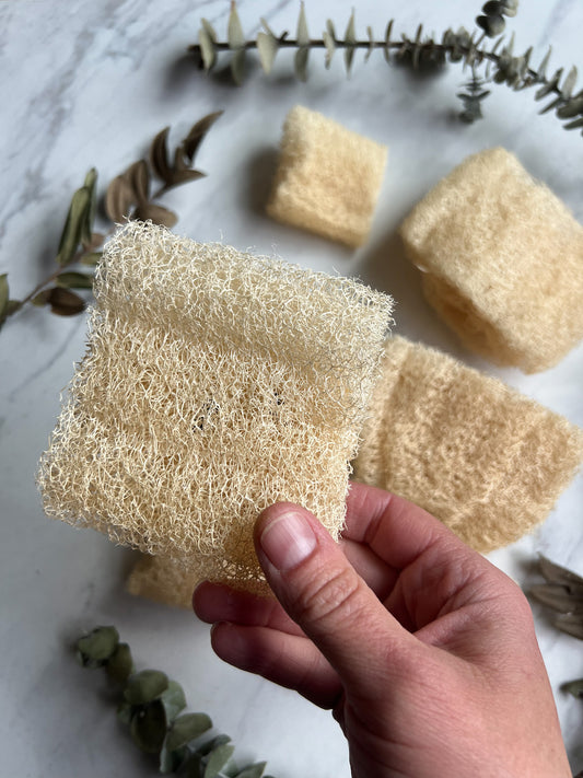 Fawn Lily Botanica | softest facial luffa loofah - organic sustainably grown in USA