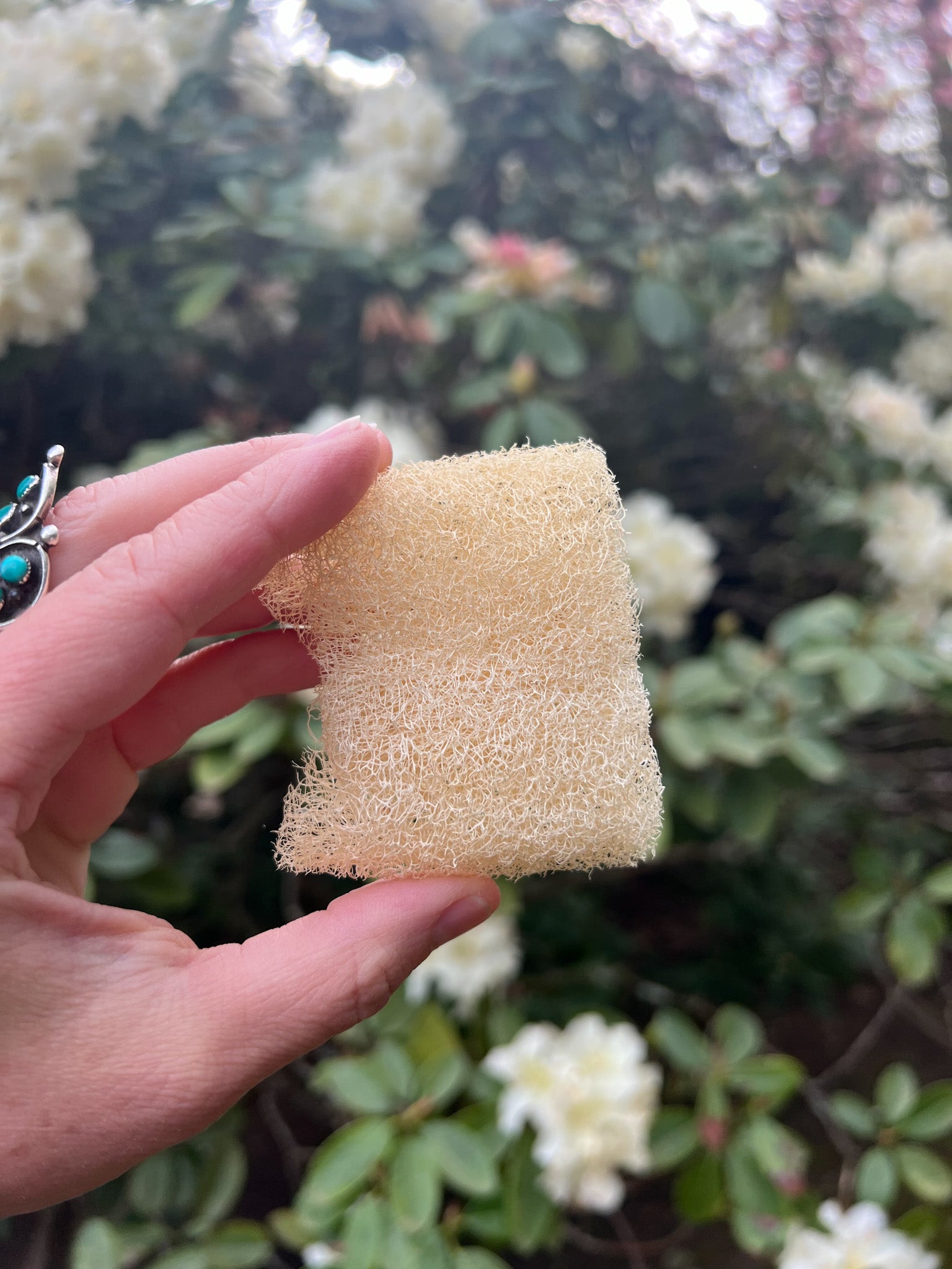 Fawn Lily Botanica | softest facial luffa loofah - organic sustainably grown exfoliating skincare