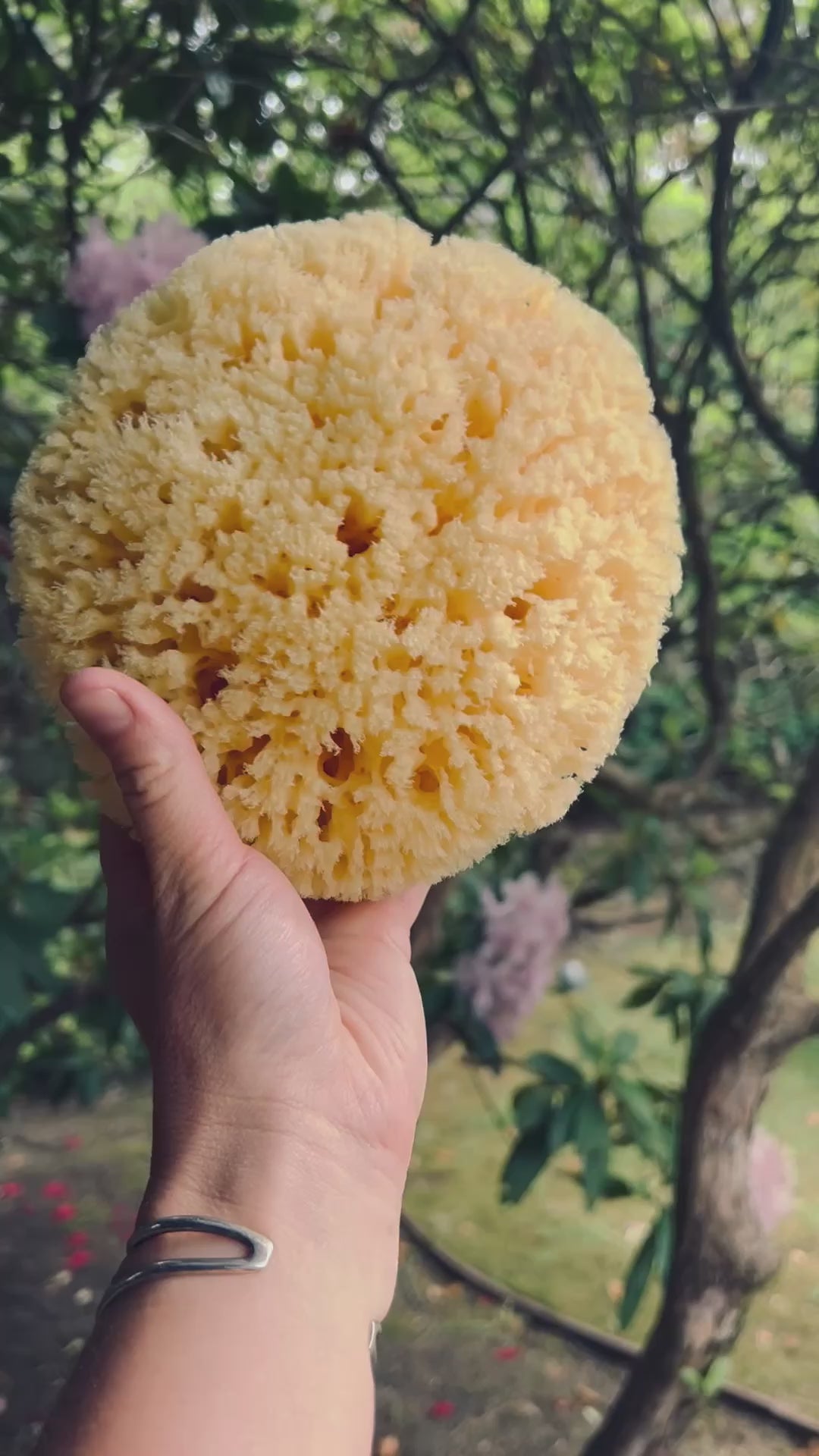 Fawn Lily Botanica | Premium Natural Sustainable Sea Bath Sponge video
