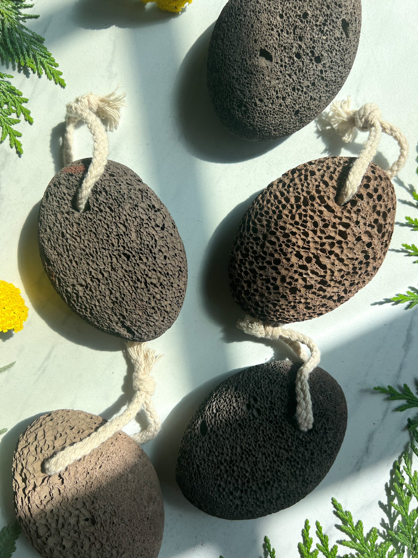 Fawn Lily Botanica | Natural Pumice Stone, from lava rock