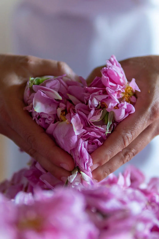 ORGANIC ROSE HYDROSOL | Fawn Lily Botanica - The best quality rose hydrosol! Preservative-free, distilled at low temperatures, completely natural, pure, and undiluted, with no additives, packaged in glass.