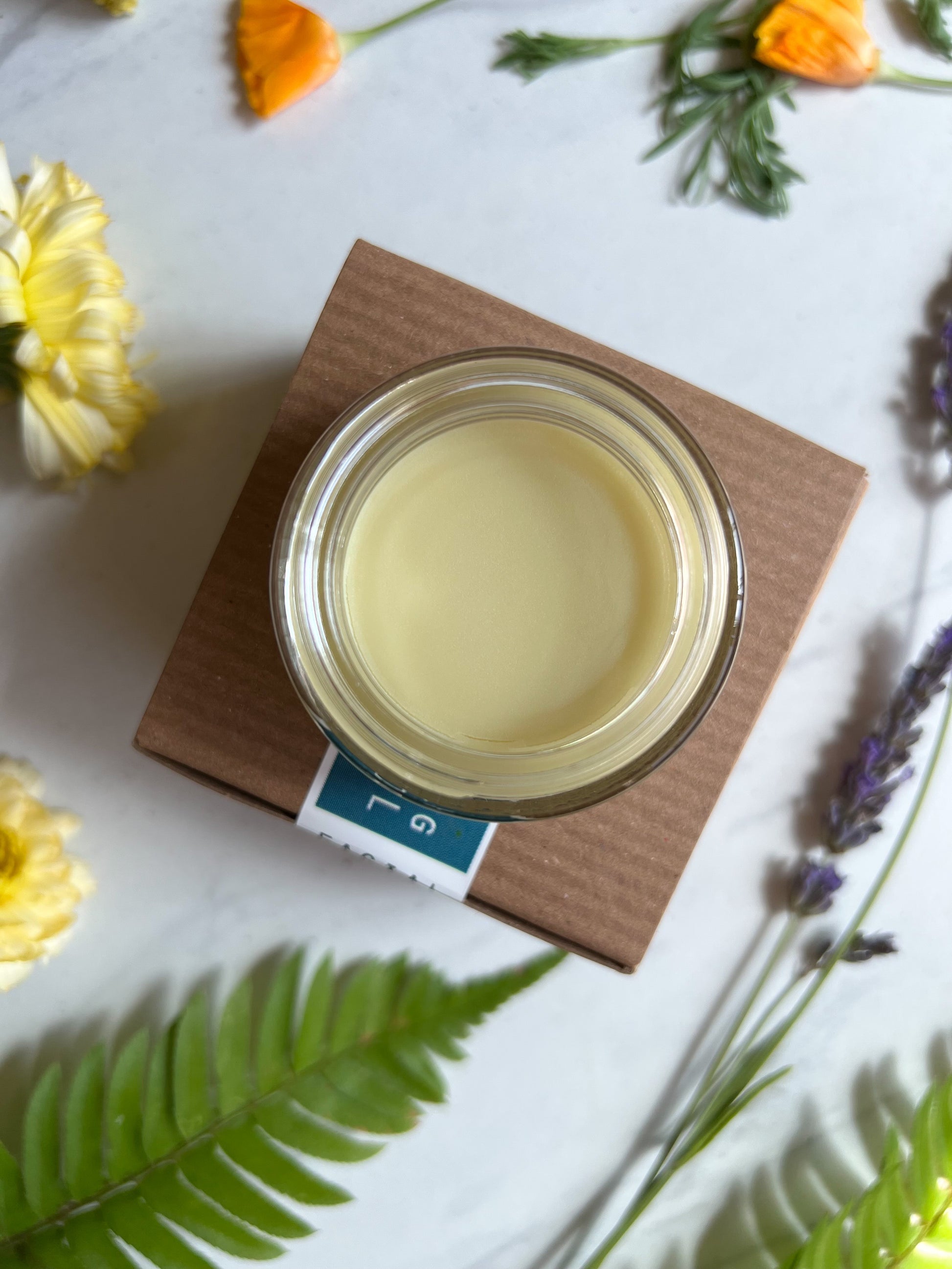 Nourishing Botanical Facial Balm | Fawn Lily Botanica - Nourishing Botanical Facial Balm | Fawn Lily Botanica - Deeply nourish, retore, moisturize and protect your skin with our Nourishing Botanical Facial Balm. Botanical formula for dry, mature, sensitive skin.