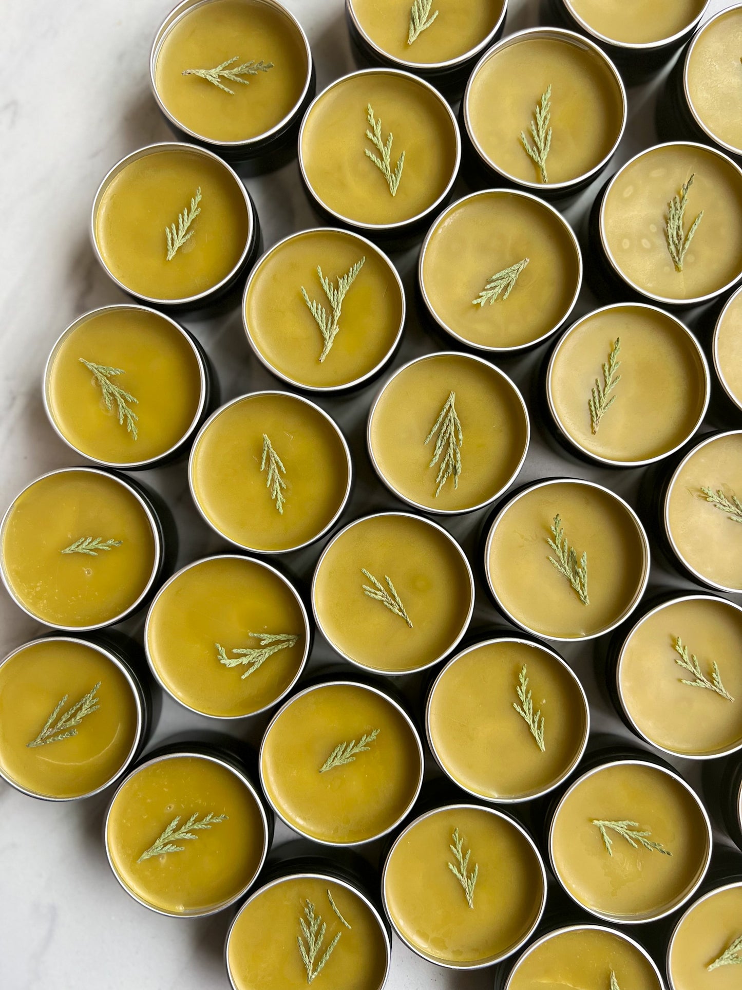 ALL-PURPOSE BOTANICAL SALVE | Fawn Lily Botanica - An ultra-nourishing botanical salve balm made from fresh herbs, flowers, wild plants, and tree tips harvested from the Pacific Northwest bioregion!