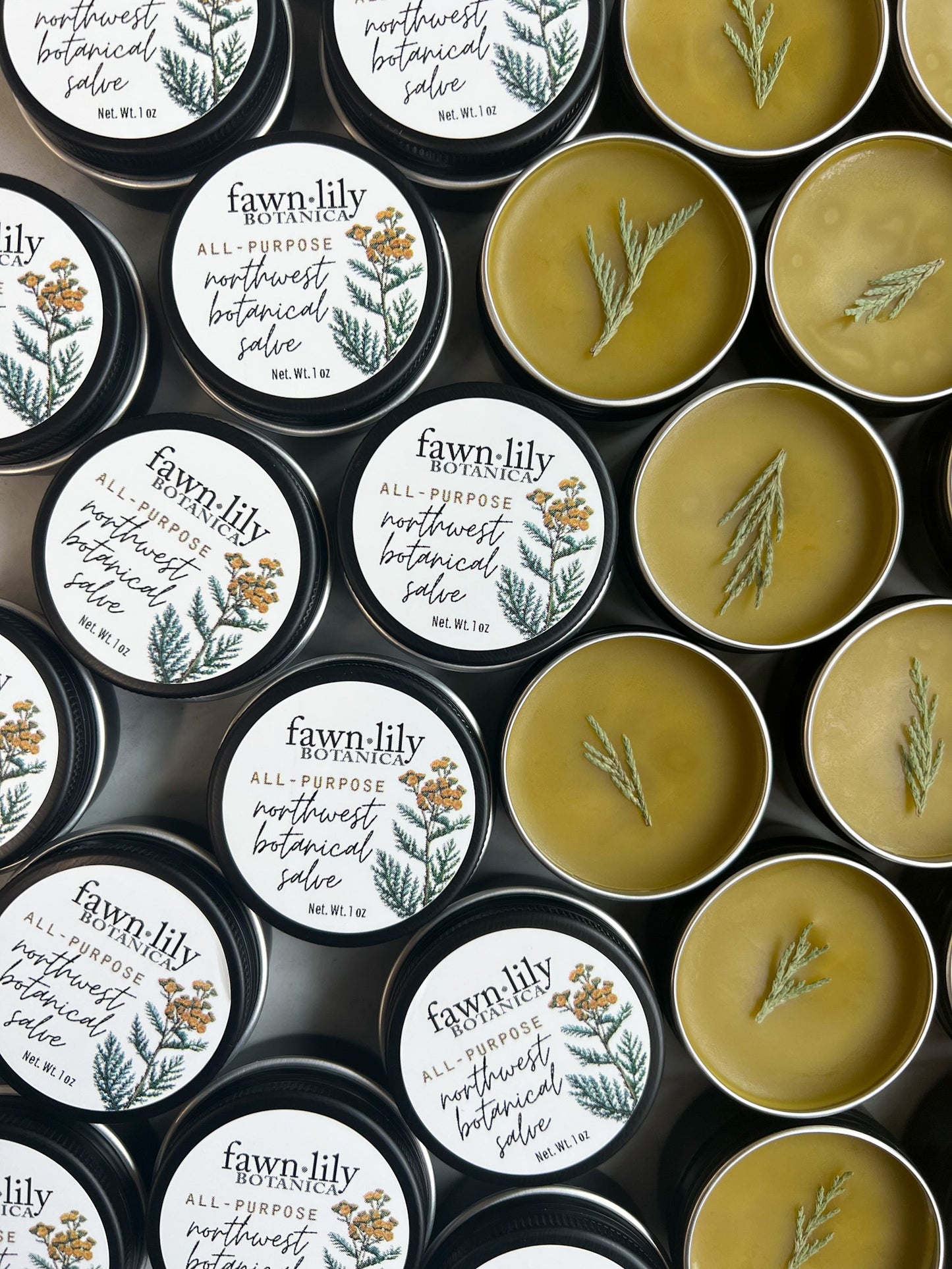 ALL-PURPOSE BOTANICAL SALVE | Fawn Lily Botanica - An ultra-nourishing botanical salve balm made from fresh herbs, flowers, wild plants, and tree tips harvested from the Pacific Northwest bioregion!