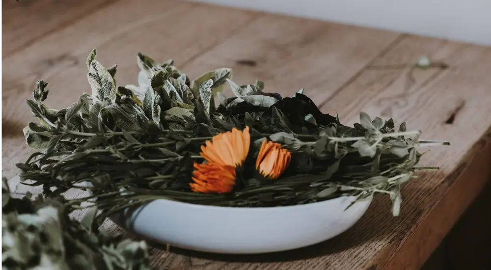 DIY Facial Steams (+ my favorite common plants to use) Fawn Lily Botanica