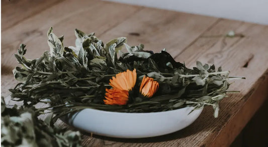 DIY Facial Steams (+ my favorite common plants to use) Fawn Lily Botanica