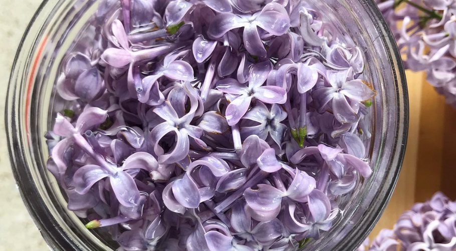 DIY Recipes with Lilac Flowers (& Other Fresh Botanicals)