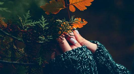 Autumn and Winter Natural Skincare Tips and Recipes