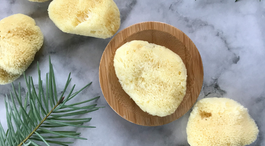 Sustainably harvested silk sea facial sponges from Fawn Lily Botanica