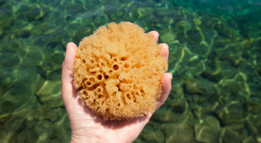 natural bath sea sponges sustainable for bathing