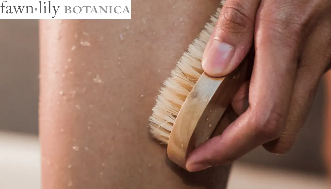 How to Dry Brush Your Skin Fawn Lily Botanica