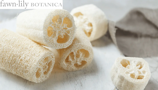 Fawn Lily Botanica | Natural Luffa Loofah from Gourds, vegan plant-based bathing tools for exfoliation