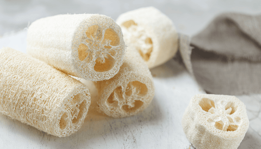 Fawn Lily Botanica | Natural Luffa Loofah from Gourds, vegan plant-based bathing tools for exfoliation