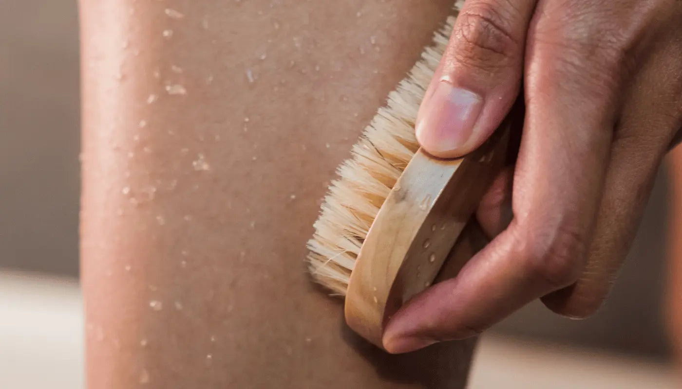 Fawn Lily Botanica | Natural Dry Brushes made from Sisal and Wool Fibers and Sustainable Wood