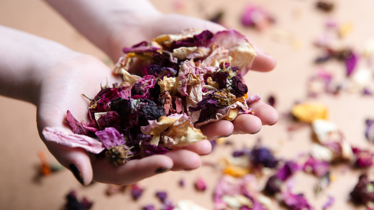 Fawn lily Botanica | hands holding dried flowers and botanicals, organic pure and natural bath and body skincare