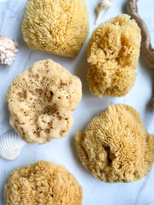 natural and sustainable sea sponges for bathing, baths, and exfoliating