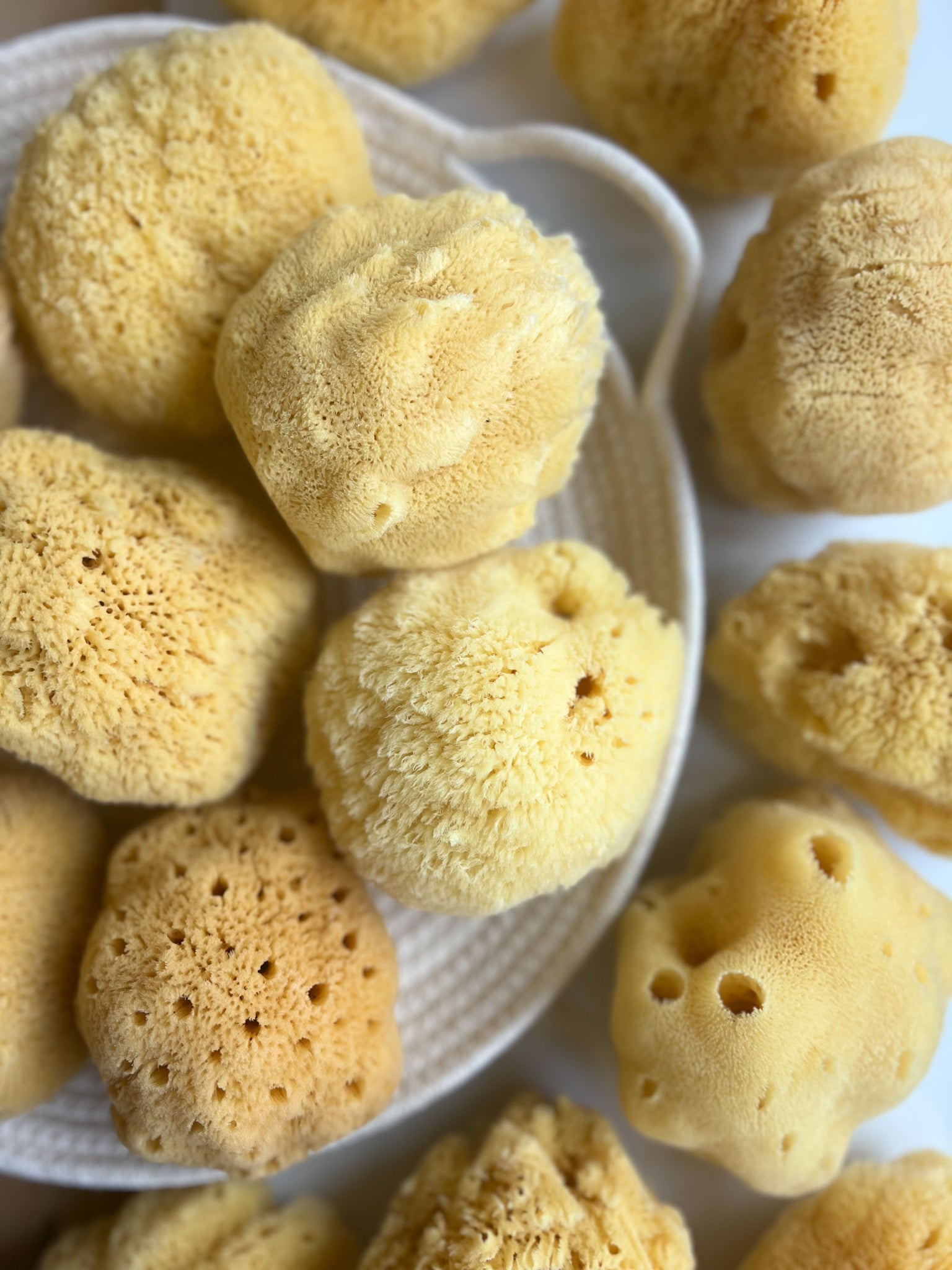 Fawn Lily Botanica | Bath Silk Sea Sponge, gentle bathing for kids and babies