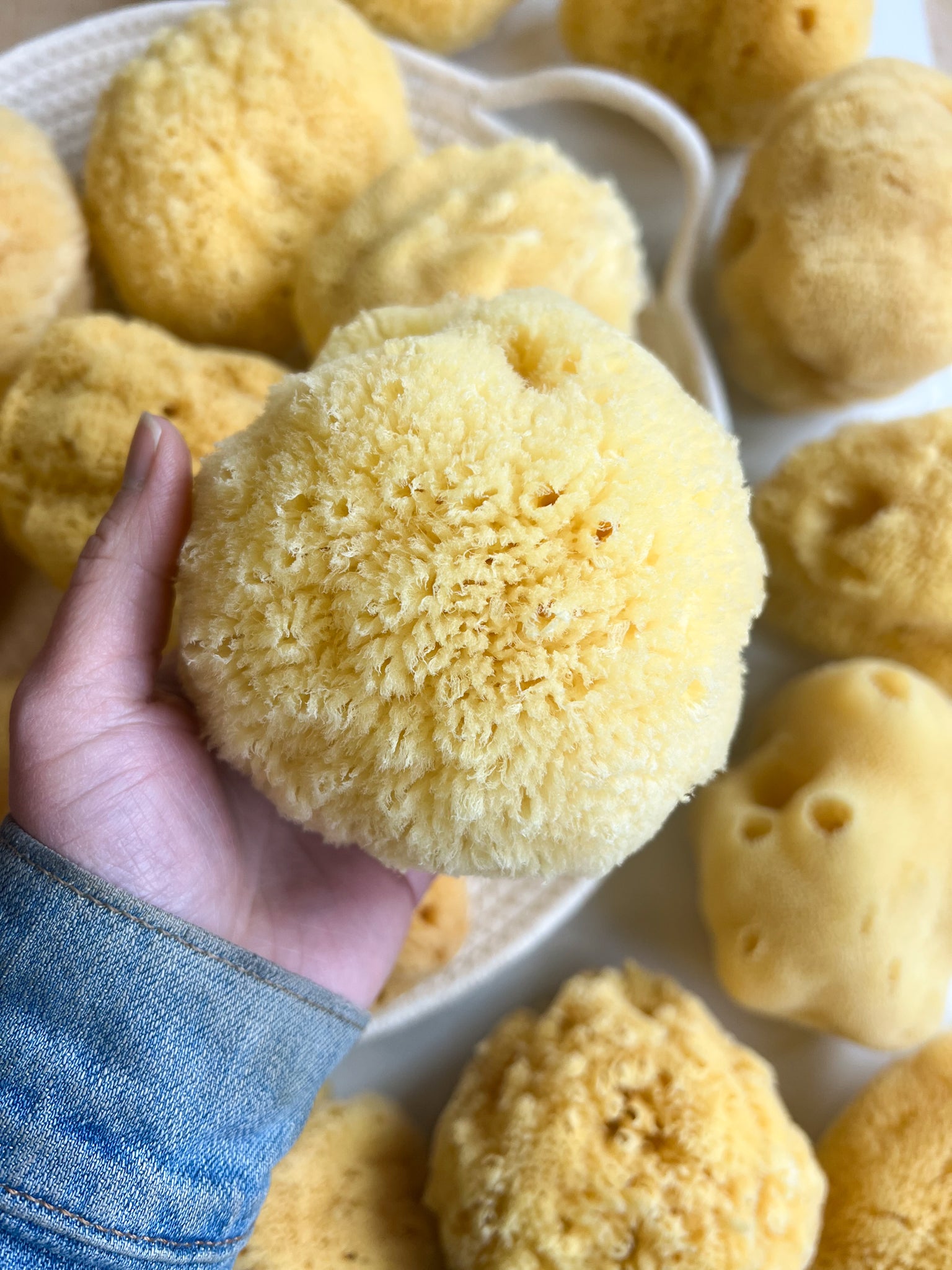 Fawn Lily Botanica | Softest Silk Bath Sea Sponge for children and babies, premium quality, whole sponge