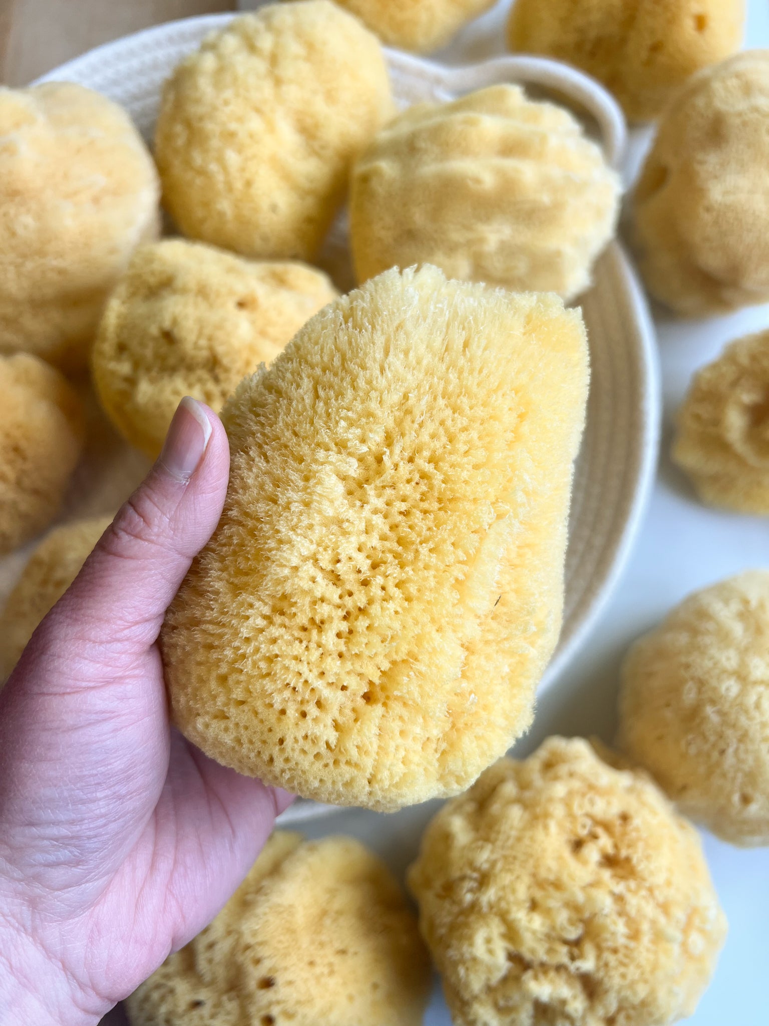 Fawn Lily Botanica | Silk Sea Sponge, natural bathing, best quality sea sponge, baby sponge