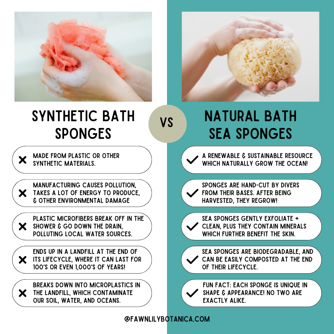 Fawn Lily Botanica | natural sea sponge vs synthetic plastic sponges - comparison chart infographic pros cons which is better