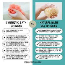 Load image into Gallery viewer, natural sea sponge vs synthetic plastic sponges - comparison chart infographic pros cons which is better
