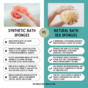 natural sea sponge vs synthetic plastic sponges - comparison chart infographic pros cons which is better