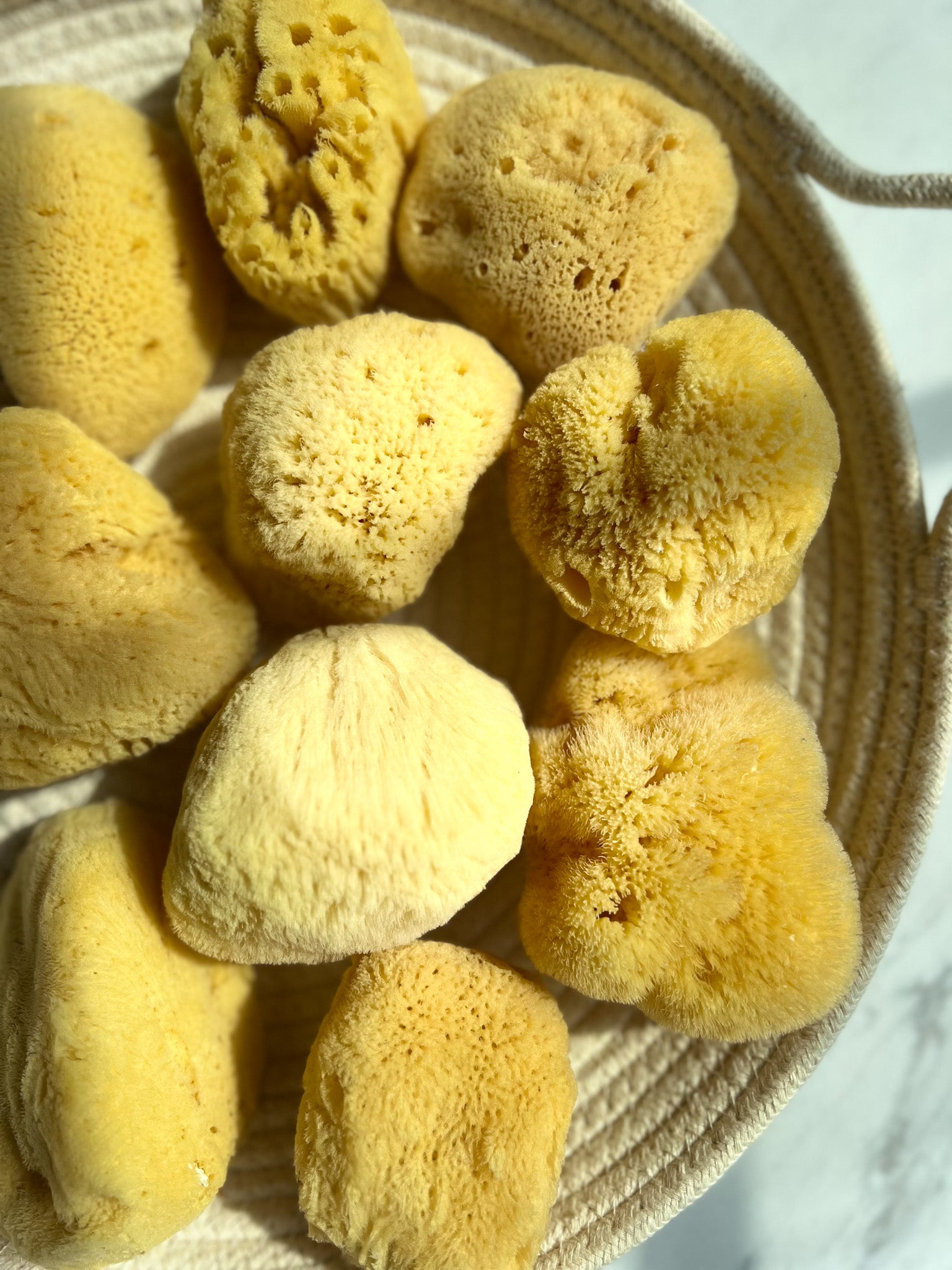 Fawn Lily Botanica | Baby kids size silk facial sea sponges - sustainably harvested