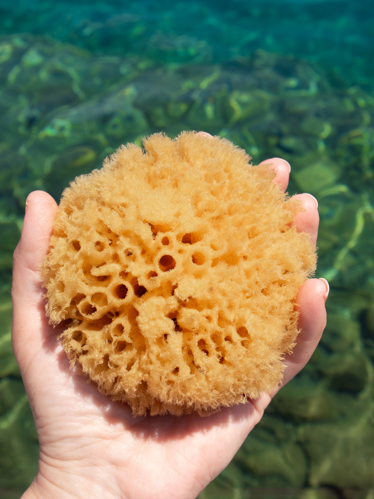 Sustainable natural sea bath sponges, for cleaning and exfoliating bathroom bathing sponge