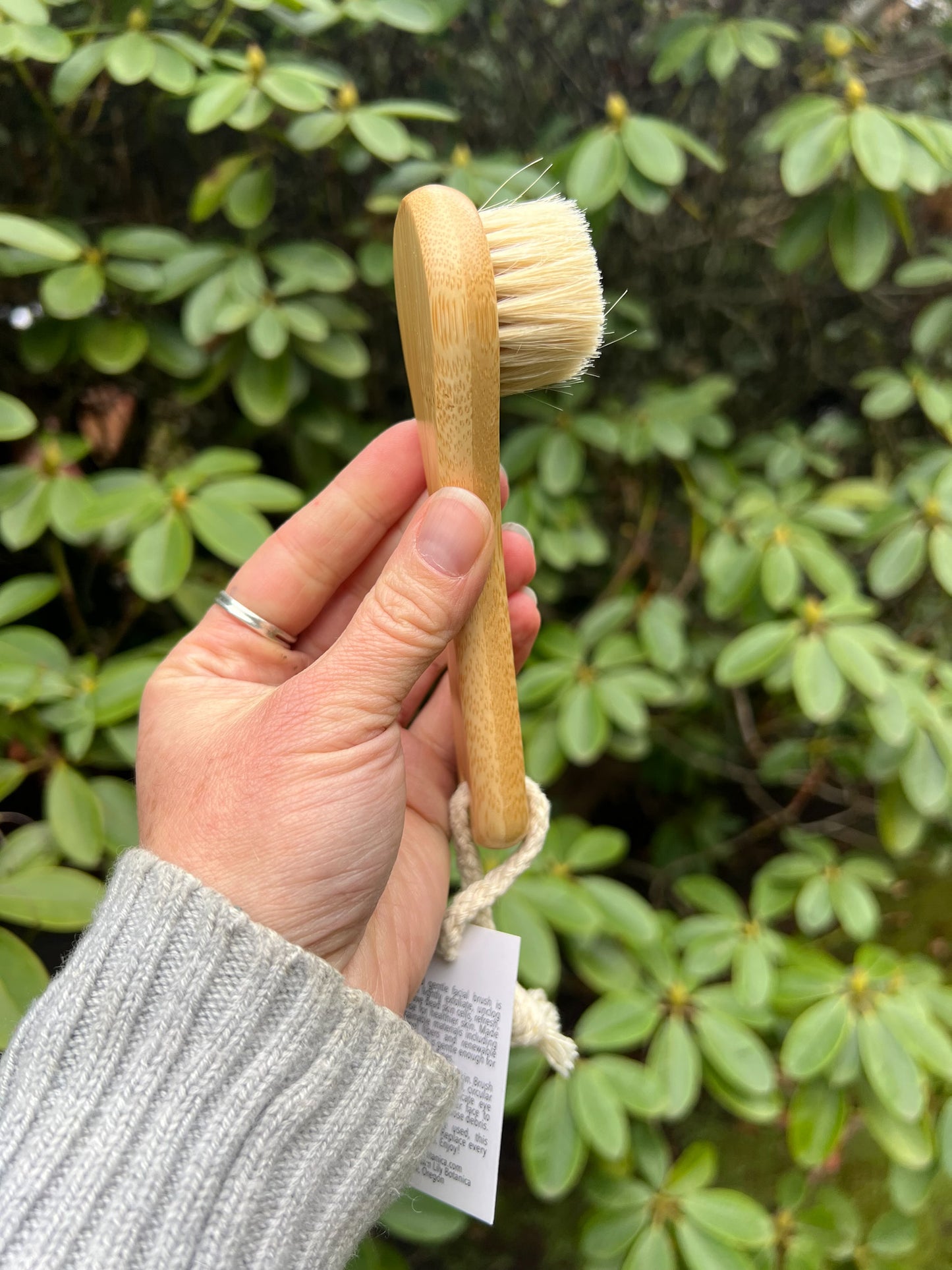 Fawn Lily Botanica | Facial Wool and Bamboo Brush