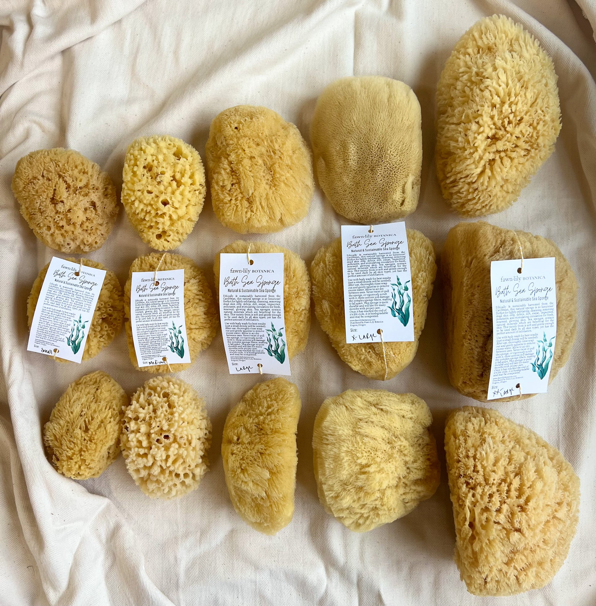 Fawn Lily Botanica | eco-friendly sea sponges for bathing and bathroom