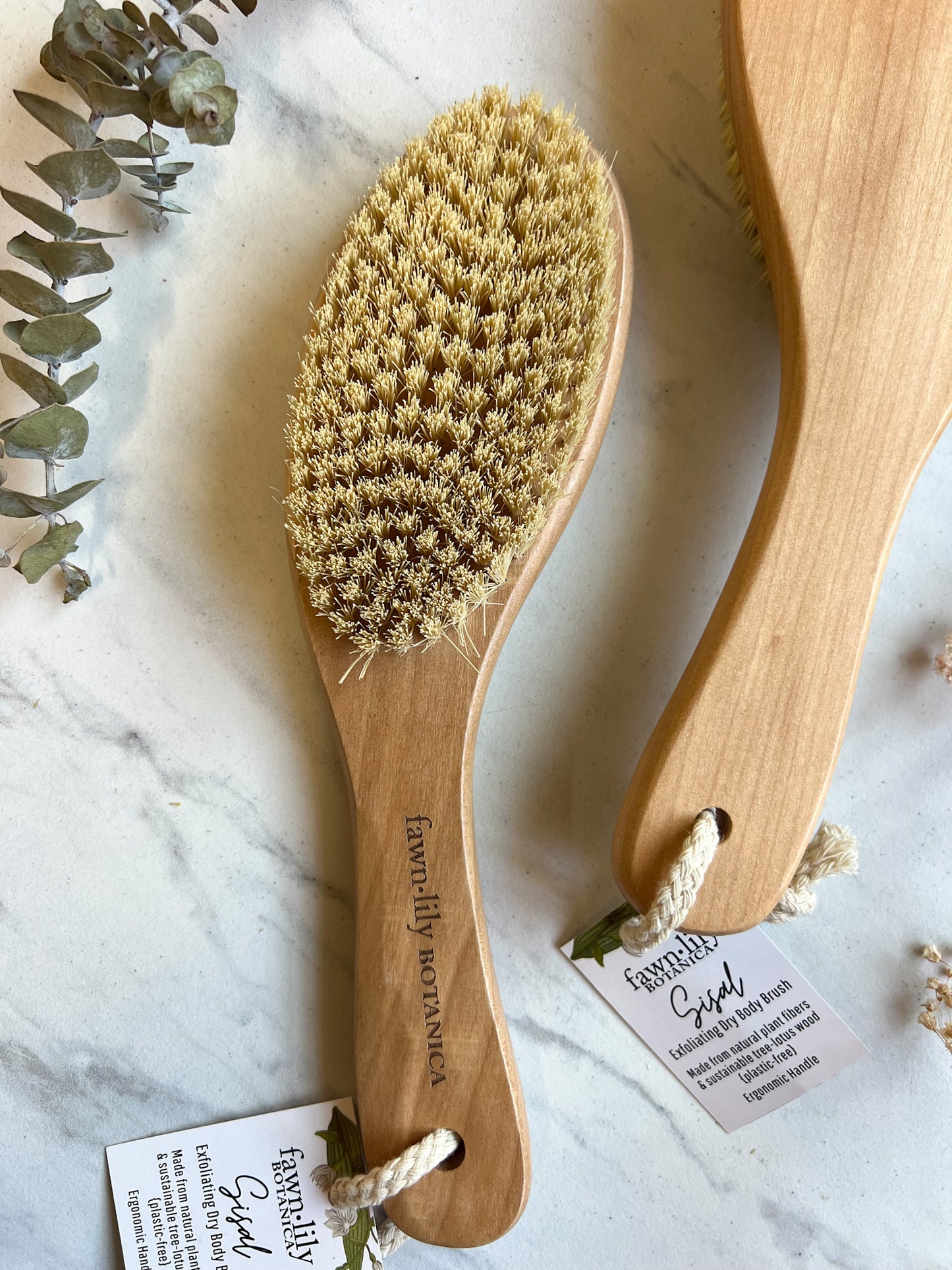 Fawn Lily Botanica | Vegan Dry Brush, plant based fibers and wood handle