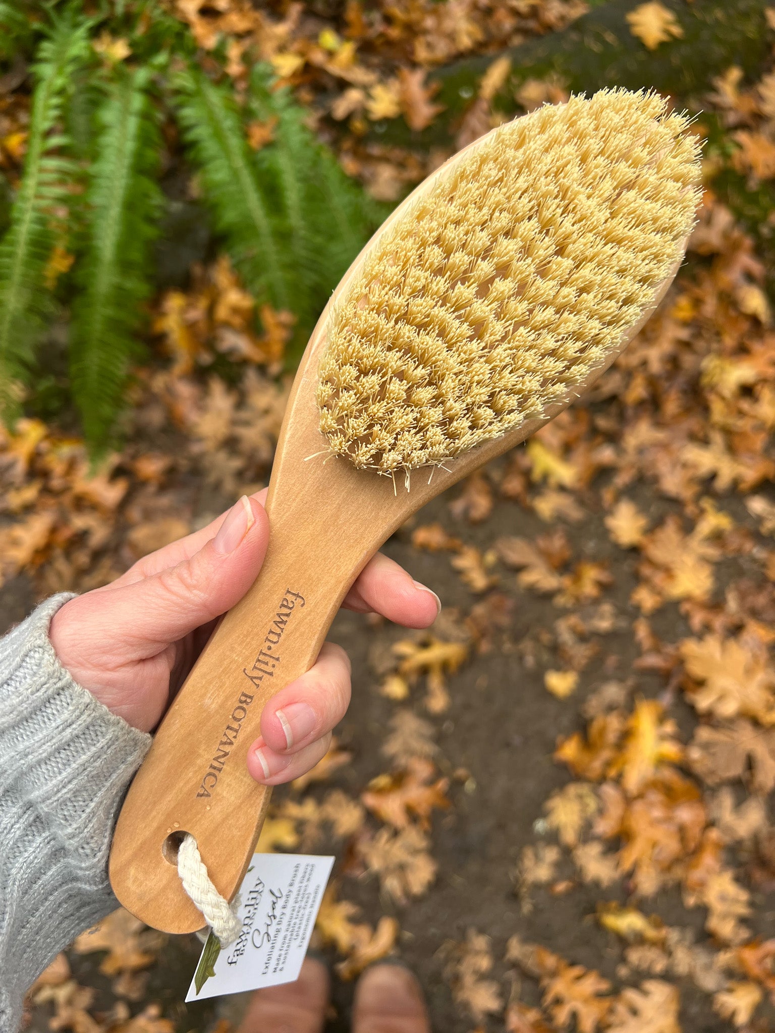 Fawn Lily Botanica | Sustainable Natural Dry Brush