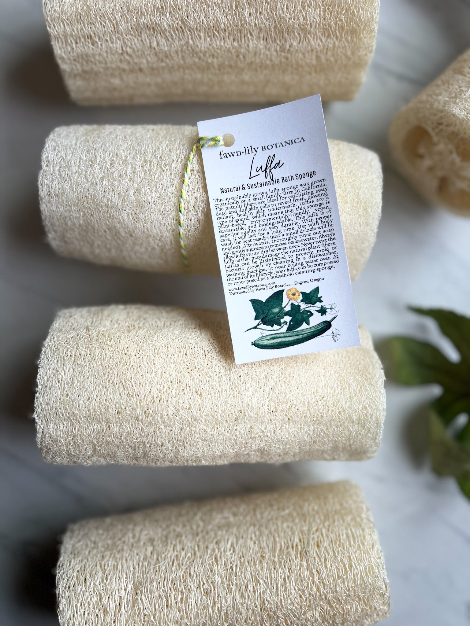 Fawn Lily Botanica | Bath Luffa Loofah Sponge | USA Sustainable Organic Exfoliation for bath
